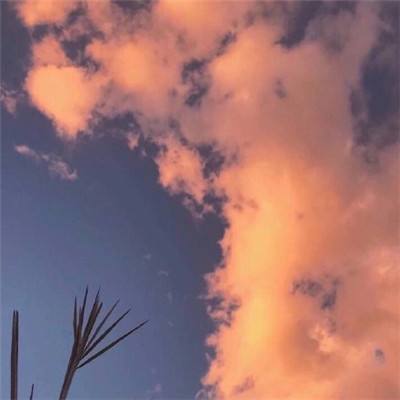 油价上涨对电动汽车而言可能是利好消息